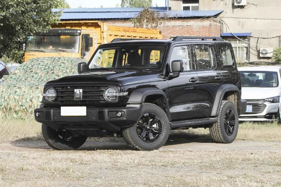 GWM Tank 300 Fuel Powered Car 2.0T 227HP 8AT High Speed Petrol SUV Car