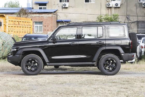  300 Young People Automatic Fuel Powered Car 5 Seats High Speed